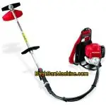 علف زن پشتی هوندا